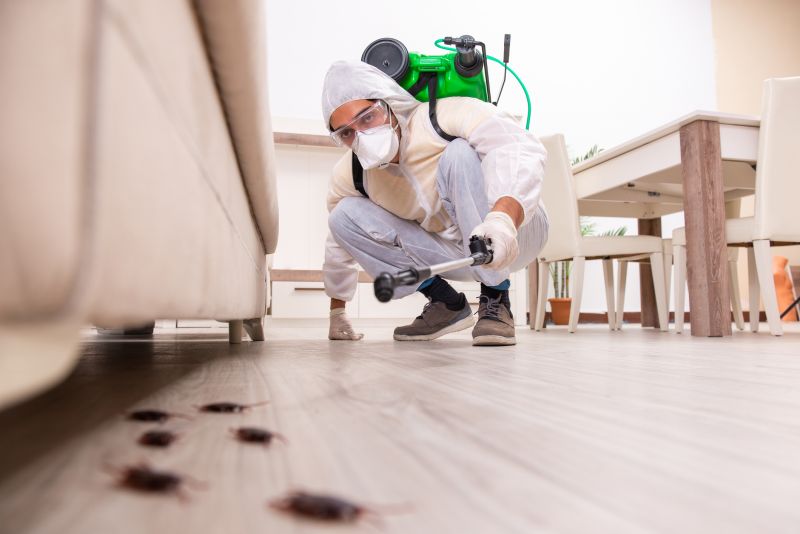 Pest Control Service